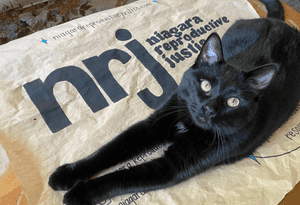 black cat laying on a banner with NRJ's logo