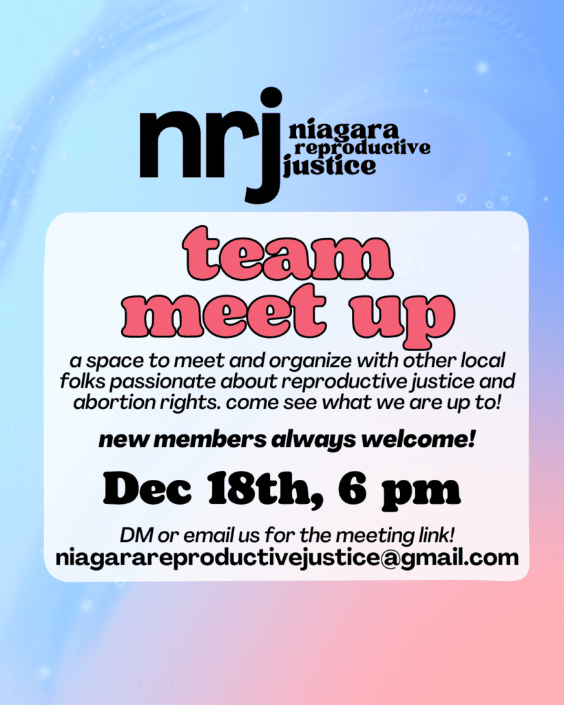 Pink and blue gradient background with winter snow flurries as decoration. Team meet up! A space to organize with other folks passionate about reproductive justice and abortion rights. New folks always welcome. Dec 18th at 6 pm. email us for the meeting link at niagarareproductivejustice@gmail.com